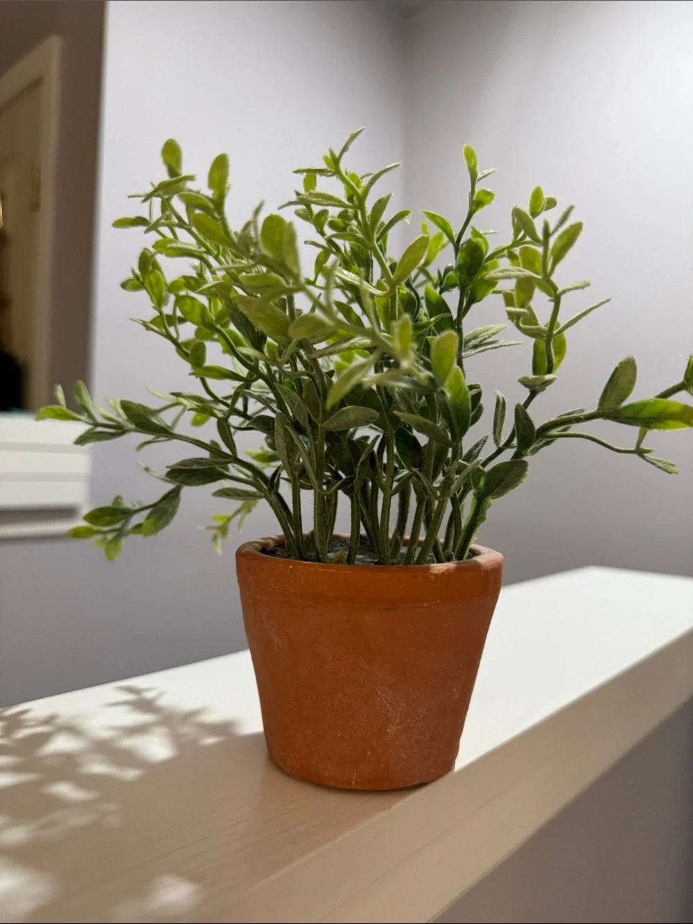 Green Artificial Potted Plant in Terracotta Pot - Home Accents